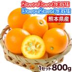 熊本県産 訳あり 完熟きんかん 金柑 800g  送料無料 2セット購入で1セット 7-14営業日以内に出荷予定(土日祝日除く)
