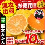 熊本みかん 訳あり 10kg 熊本県産 送料無料 ミカン 大玉 小玉 おまけ増量 お裾分け ギフト 3-7営業日以内に発送予定 土日祝除く|