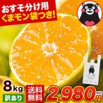 速攻出荷 熊本みかん 訳あり 8kg 熊本県産 送料無料 ミカン 大玉 小玉 おまけ増量 10kg 以下 お裾分け ギフト 1-5営業日以内に発送予定 土日祝除く