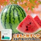 お歳暮 秋すいか 熊本 スイカ すいか ギフト 訳あり 大玉 甘い 送料無料 6kg以上 旬 果物 家庭用 フルーツ 果物 7-14営業日以内 配送予定 土日祝除く