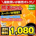 送料無料 熊本みかん 1.5kg 規格外訳あり 3セットで3セット分おまけ 複数購入は1箱おまとめ 11月末-12月中旬頃より順次出荷