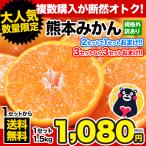 送料無料 熊本みかん 1.5kg 規格外訳あり 3セットで3セット分おまけ 複数購入は1箱おまとめ 1月末-2月中旬頃より順次出荷