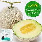 【父の日早割⇒1200円OFF】ギフト 九州産 マスクメロン 秀品 1玉 2Lサイズ 1.2kg以上 送料無料 メロン 高級メロン フルーツ 《ご選択された日程でお届け予定》