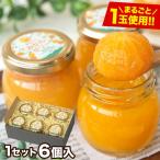 期間限定SALE みかんゼリー 賞味期限：2023年3月12日 送料無料 ギフト プレゼント 熊本 まるごとみかんゼリー 6個入り 3-7営業日以内に出荷予定(土日祝日除く)