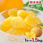 甘夏 みかん 1.5kg 訳あり 送料無料 熊本県産 旬 の みかん 箱買い ※おまとめ配送 2セット購入で1セット増量 3-7営業日以内に出荷(土日祝を除く)