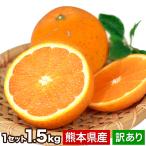 セール 訳あり 清見 1.5kg 約6〜約20玉前後入 送料無料 熊本産 柑橘 旬 みかん 2セット購入で1セット分  1-5営業以内発送予定(土日祝除く)