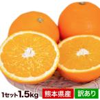 販売解禁 オレンジ ネーブル 送料無料 1.5kg 訳あり 熊本県産 旬 みかん 果物 2セットで1セット分増 1-5営業以内発送予定(土日祝除く)