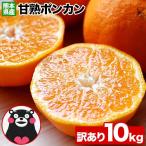  купон .350 иен OFFpon can есть перевод 10kg бесплатная доставка Kumamoto префектура производство ..... мандарин mi can ... для бытового использования коробка покупка {1-5 предприятие дней в течение отправка ( суббота, воскресенье и праздничные дни за исключением )}|