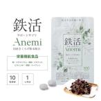 鉄分 サプリ 疲れ 立ちくらみ 貧血 フェリチン 栄養機能食品 腸活 腸内環境 自然由来 鉄活 きくらげ　鉄活サポートサプリ【Anemi（アネミー）】1袋