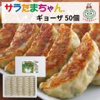 【クーポン利用で20％OFF＆送料無料】餃子 冷凍餃子 おつまみ 惣菜 ぎょうざ 冷食 野菜 国産 お取り寄せ お歳暮 ギョーザ 　サラたまちゃんギョーザ 50個入