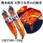 ショッピングうなぎ 父の日 天然うなぎの白焼き ２尾（鰻 国産うなぎ 熊本県産 ギフト 贈答 誕生日 お祝い 父の日 土用の丑）