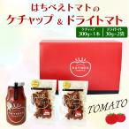 [ купон использование .20%OFF& бесплатная доставка ] подарок на Bon Festival подарок по случаю конца года приправа подарок ... без добавок местного производства помидор сухой овощи. ... помидор кетчуп & сушеные помидоры комплект M