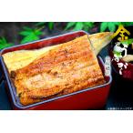 [ Nakamura .][ Take наружный возможно ] белый ..(...* Nara . имеется )