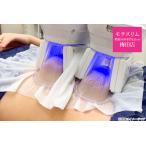 [ Osaka * слива рисовое поле * север новый земля ] жир . охлаждающий Twin Cryo M размер ×2 cup + следующего поколения EMS итого 60 минут 