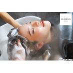 [. соотношение .] Esthe simo head spa[VEENA использование ]60 минут *2 листов до использование возможно 