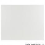  arte -ju белый лен бумага panel F20
