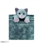  friend Lee эмблема .... кошка серый передний направление 4009464-03