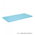  takada bed завод 2 . поломка тренировка коврик ширина 90× длина 190× толщина 5cm Sky голубой TB-474