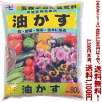 ((¾ò·ïÉÕ¤Á÷ÎÁ̵ÎÁ))((¤¢¤«¤®¥·¥ê¡¼¥º))Ìý¤«¤¹ 800g