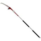 nisigaki ветка удар . один 5M N-762