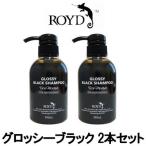 カラーシャンプー 黒 グロッシーブラック 300ml 2本セット ブライセス ロイド- 送料無料 - 北海道・沖縄を除く