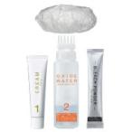 ダリヤ パルティ メチャフラッシュブリーチ [ dariya palty 医薬部外品 ヘアケア ヘアカラー 脱色 ]