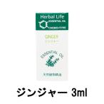 生活の木 エッセンシャルオイル ジンジャー 3ml ( tree of life 精油 天然 天然精