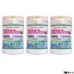 ホタテの力くん 海の野菜 くだもの洗い 90g × 3個セット 日本漢方研究所 スーパーシェル - 送料無料 -wp 北海道・沖縄を除く