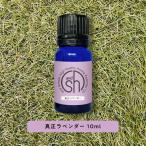 エッセンシャルオイル 精油 ラベンダー 10ml アロマ 真正ラベンダー AEAJ表示基準適合認定精油 &SH +lt3+