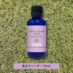 ショッピングアロマオイル エッセンシャルオイル 精油 真正ラベンダー 50ml / アロマオイル AEAJ表示基準適合認定精油/+lt3+