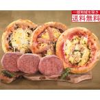 唐津くん煙工房　【送料無料(一部地域を除く)】ナポリ風石窯ピザと氷零下熟成ハンバーグセット(KPHB-C3)