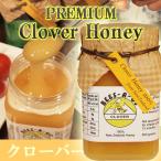クローバーはちみつ 250g　ニュージーランド産プレミアムハニー
