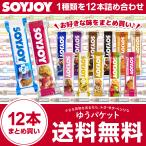 大塚製薬　SOYJOY ソイジョイ 12本ま