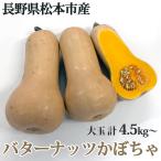 Nagano префектура Matsumoto город производство масло орехи тыква большой шар 3 шар 2026 годовой объем обслуживание средний!!