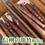 信州長野市産筍「淡竹（ハチク）」３kg