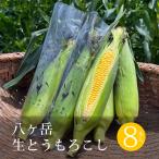 . штук пик сырой кукуруза 8 шт. входит - malano-en Nagano префектура производство утро .. отправка!!