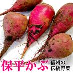  Matsumoto город . река производство [ гарантия flat ..]10kg[ Shinshu. традиция овощи ]11 месяц отправка минут принимается!