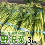  Shinshu производство солености tsukemono для [ сырой. ...]3kg [ пятница до полудня конечный срок - следующий неделя пятница отправка ]