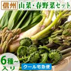  Shinshu. дикоросы . весна овощи. комплект (6 вид и больше ввод )2026 годовой объем. 2 месяц примерно прием начало предположительно 