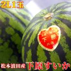 信州松本波田産「下原すいか」秀 2L(7〜8kg) 1玉 2025年分は受付終了