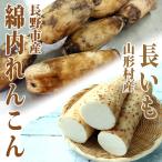  Nagano город производство хлопок внутри renkon . Yamagata . производство батат Shinshu . земля овощи. комплект 11 месяц 21 день первый раз отправка принимается 