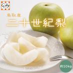 「二十世紀梨 約10kg」★果汁の多さは梨の中でトップクラス★【送料無料】【ギフト】【贈答用】鳥取産 二十世紀梨 青梨の代表品種 梨 ナシ お取り寄せ 和梨