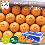 ショッピングデコポン 「ファミリーデコくん5」 【送料無料】愛媛西宇和産国安さんちのデコくん ファミリー用5キロ