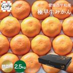 「贈答極早生みかん2.5」【送料無料】【産地直送】【ギフト】贈答用 愛媛西宇和産 極早生みかん2.5kg