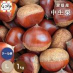 [ Ehime средний сырой каштан L1] средний сырой каштан [ тщательно отобранный товар ][ бесплатная доставка ][ прохладный рейс ] Ehime производство средний сырой каштан L размер 1 kilo [1~5 предприятие дней в течение наш магазин отправка предположительно ]