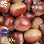 [ Ehime средний сырой каштан L10] средний сырой каштан [ тщательно отобранный товар ][ бесплатная доставка ][ прохладный рейс ] Ehime производство средний сырой каштан L размер 10 kilo [1~5 предприятие дней в течение наш магазин отправка предположительно ]