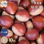 [ Ehime. каштан L10]* осенний тест .. верх беттер [ бесплатная доставка ][ подарок ][ тщательно отобранный товар ][ прямая поставка от производителя ] Ehime производство . сырой каштан L размер 10 kilo 