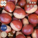 [ Ehime. каштан L3]* осенний тест .. верх беттер [ бесплатная доставка ][ подарок ][ тщательно отобранный товар ][ прямая поставка от производителя ] Ehime производство . сырой каштан L размер 3 kilo 
