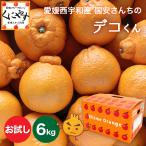 ショッピングデコポン 「お試しデコくん3×2」【送料無料】愛媛西宇和産国安さんちのデコくん お試し6キロ (3キロ×2箱)