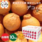 ショッピングデコポン 「お得用デコくん10」【送料無料】愛媛西宇和産国安さんちのデコくん お得用10キロデコポンは登録商標のためデコくんとして販売